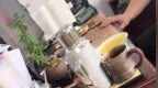 公职人员怒吼群众被停职，公共服务不惯“坏脾气”